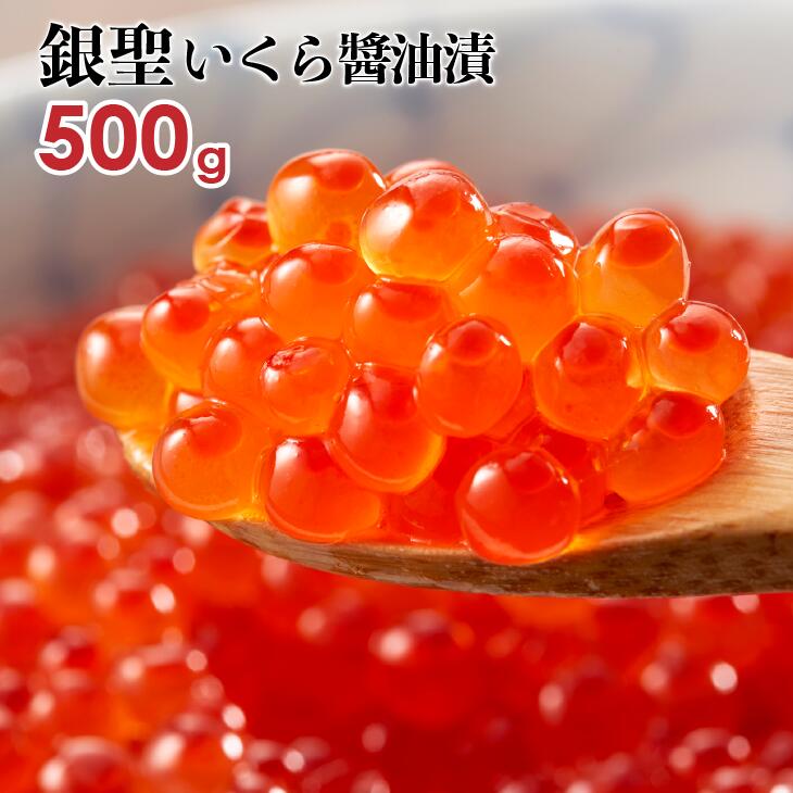 ڤդ뤵Ǽǡͻ ֥ɶӺ(ŷ)ֶפ(500g1Ȣ)[02-218]