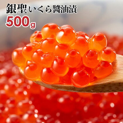 前浜産 ブランド銀毛鮭(天然)「銀聖」いくら醤油漬(500g×1箱)[02-218]