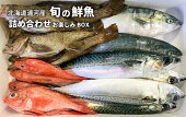 【ふるさと納税】◆令和3年2月発送◆漁協厳選！鮮魚お楽しみBOX[B02-830]