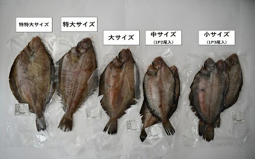 【ふるさと納税】漁協の地魚一夜干し ナメタカレイ 中サイズ(6尾入)[02-866] 北海道 浦河 ふるさと納税 一夜干し ナメタカレイ カレイ 干物 送料無料