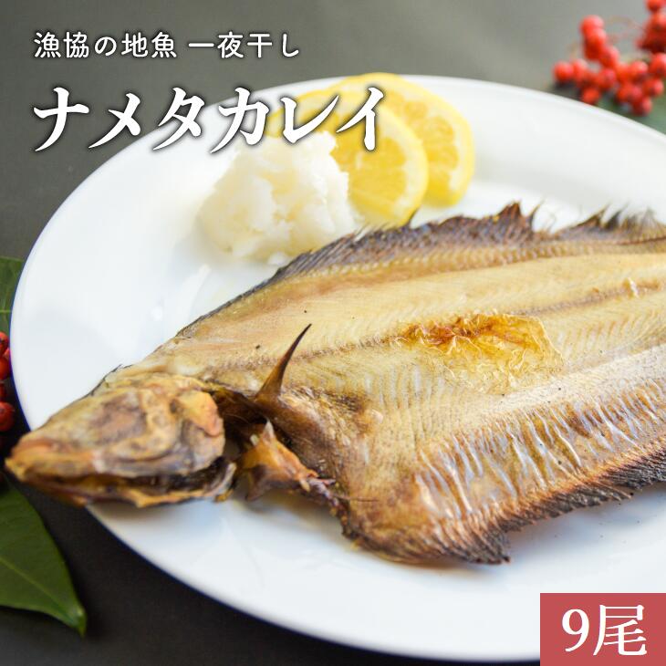 【ふるさと納税】漁協の地魚一夜干し ナメタカレイ 小サイズ(