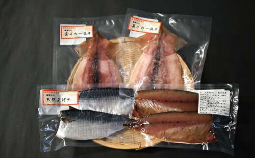 浦河前浜の恵み!真イカ&天然秋さば半身の一夜干しセット[08-1527] 北海道 浦河 ふるさと納税 真イカ 天然サバ 鯖 干物 一夜干し セット 送料無料