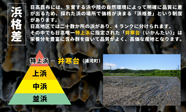 【お中元・送料無料】四万十うなぎ蒲焼 特大2尾セット 御中元