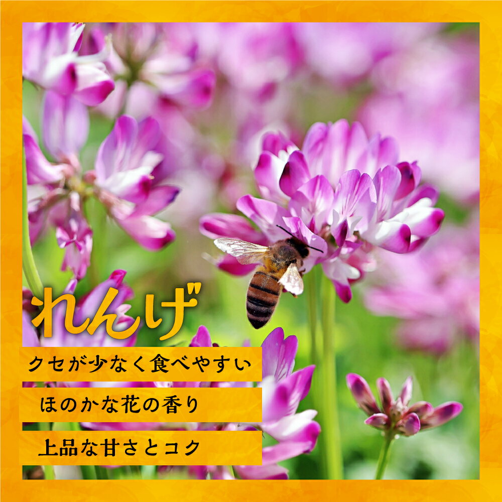 【ふるさと納税】国産純粋完熟はちみつ小瓶セット(れんげ・萩・百花蜜)[16-1140] 北海道 浦河 ふるさと納税 国産 はちみつ れんげ 萩 百花蜜 セット 贈答用 化粧箱入り 送料無料