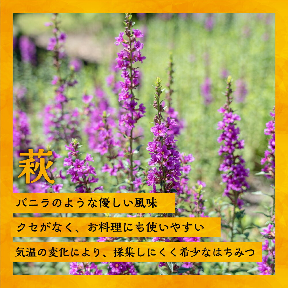 【ふるさと納税】国産純粋完熟はちみつ小瓶セット(れんげ・萩・百花蜜)[16-1140] 北海道 浦河 ふるさと納税 国産 はちみつ れんげ 萩 百花蜜 セット 贈答用 化粧箱入り 送料無料