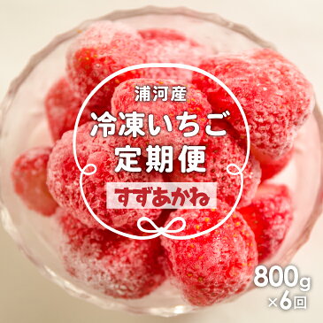 【ふるさと納税】北海道浦河産 冷凍いちご「すずあかね」(800g×1P) 定期便(毎月全6回)[B13-879]