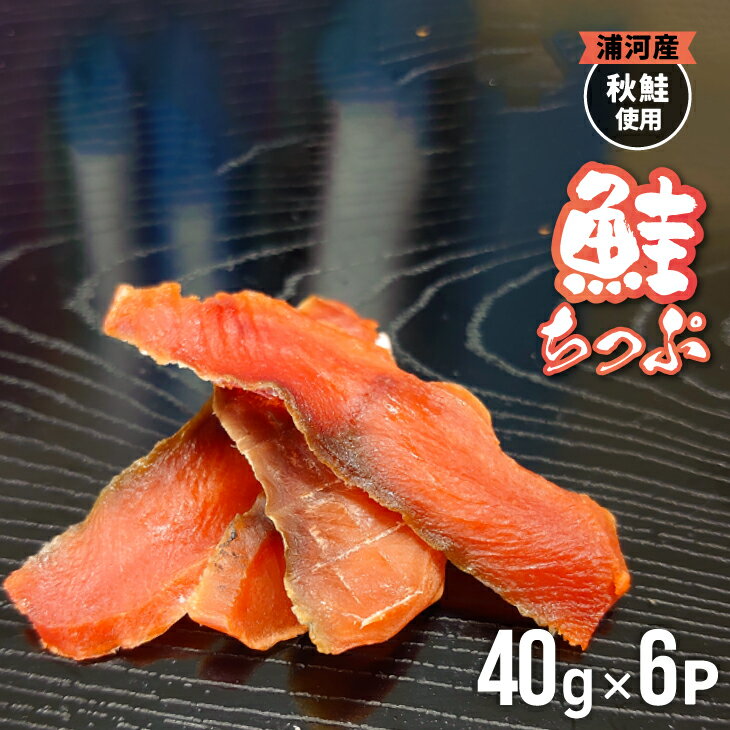 【ふるさと納税】北海道日高産 さけちっぷ(40g×6P)[25-1290]