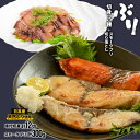 【ふるさと納税】北海道日高産 4種の味のブリ食べ比べセット[25-1292] 1