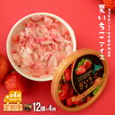 【ふるさと納税】果肉55%「夏いちごアイス(12個)」【全4回定期便】[22-999]