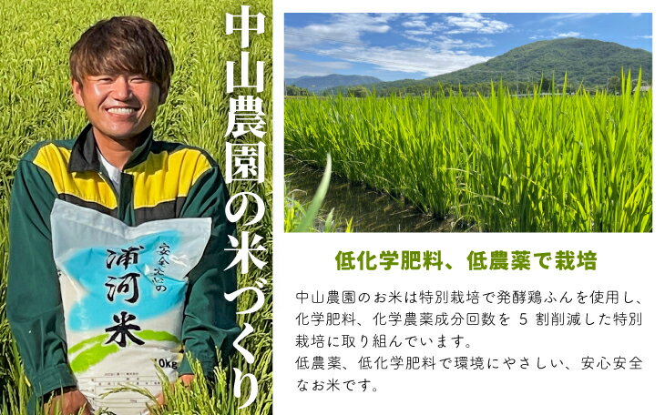 【ふるさと納税】【令和5年産】浦河の特別栽培米「ななつぼし」玄米(10kg×1袋)定期便(全3回)[37-1055]