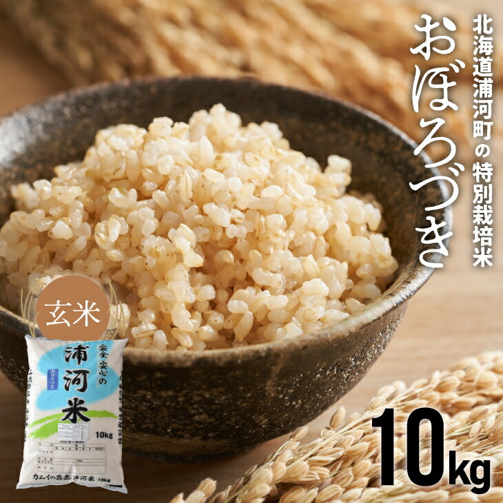 10位! 口コミ数「0件」評価「0」【令和5年産】北海道浦河町の特別栽培米「おぼろづき」玄米(10kg×1袋)[37-1146]