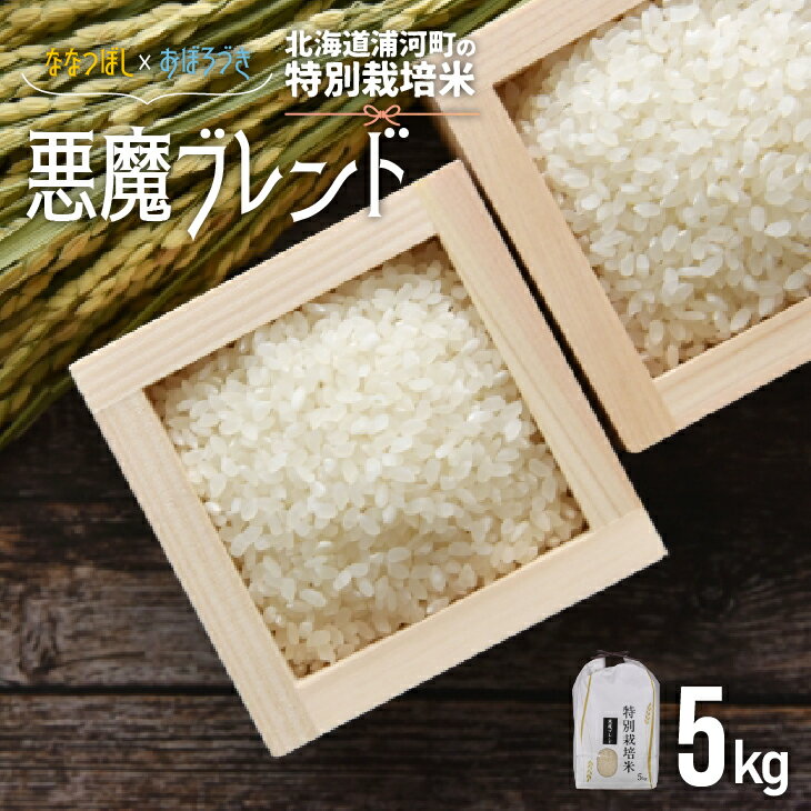 11位! 口コミ数「0件」評価「0」【令和5年産】北海道浦河町の特別栽培米「悪魔ブレンド」精米(5kg×1袋)[37-1225] 北海道 浦河 ふるさと納税 ななつぼし おぼろ･･･ 