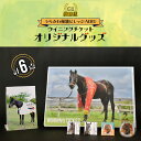 【ふるさと納税】優駿ビレッジAERU G1馬｢ウイニングチケ