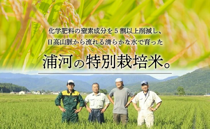 【ふるさと納税】【令和5年産】浦河の特別栽培米「きたくりん」精米(5kg×2袋)定期便(全3回)[28-1209]