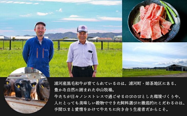 【ふるさと納税】A4等級以上！「北海道浦河産黒毛和牛」4種食べ比べセット(計900g)[28-1150]