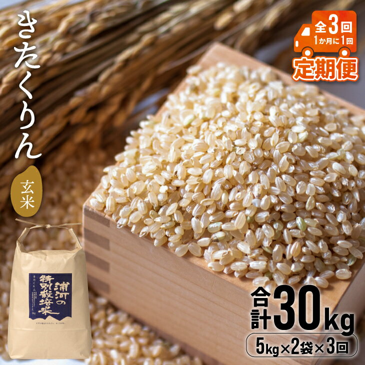 【ふるさと納税】【令和5年産】浦河の特別栽培米「きたくりん」玄米(5kg×2袋)定期便(全3回)[28-1208]