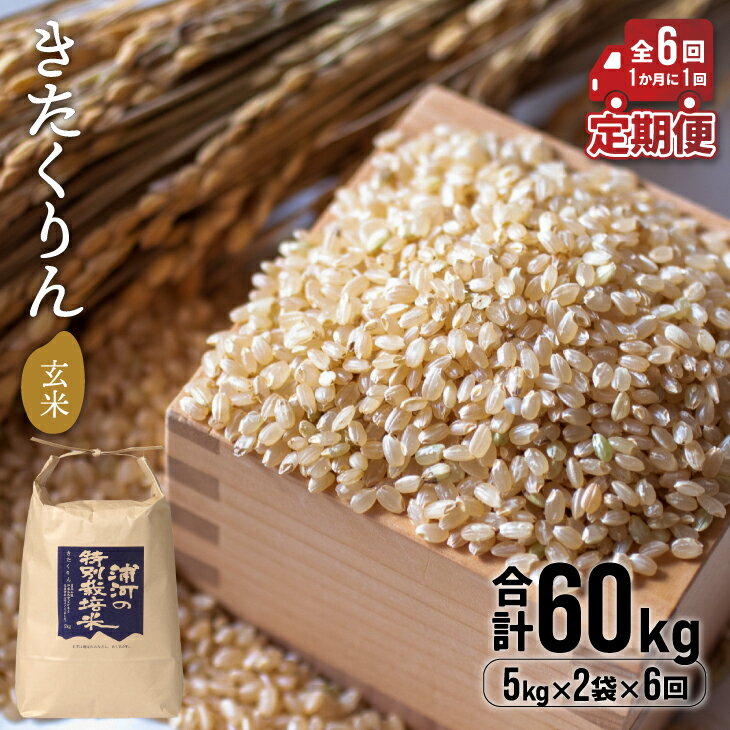 22位! 口コミ数「0件」評価「0」【令和5年産】浦河の特別栽培米「きたくりん」玄米(5kg×2袋)定期便(全6回)[28-1210]