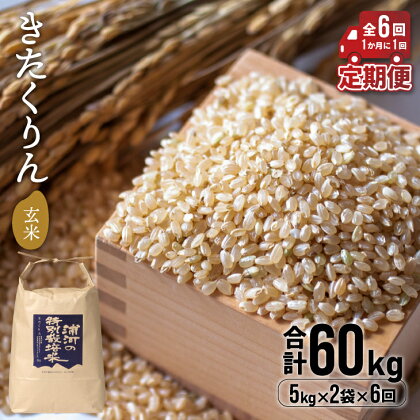 【令和5年産】浦河の特別栽培米「きたくりん」玄米(5kg×2袋)定期便(全6回)[28-1210]