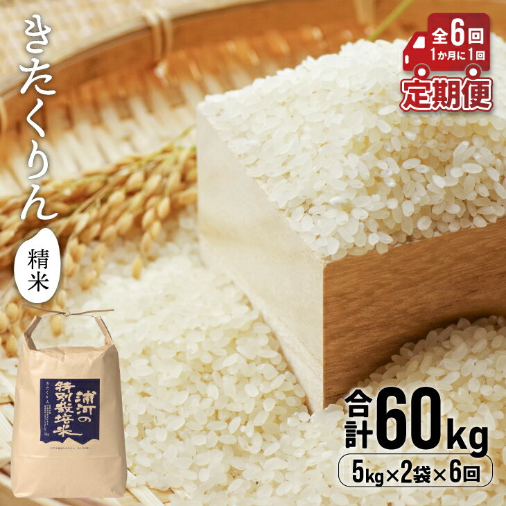 19位! 口コミ数「0件」評価「0」【令和5年産】浦河の特別栽培米「きたくりん」精米(5kg×2袋)定期便(全6回)[28-1211]