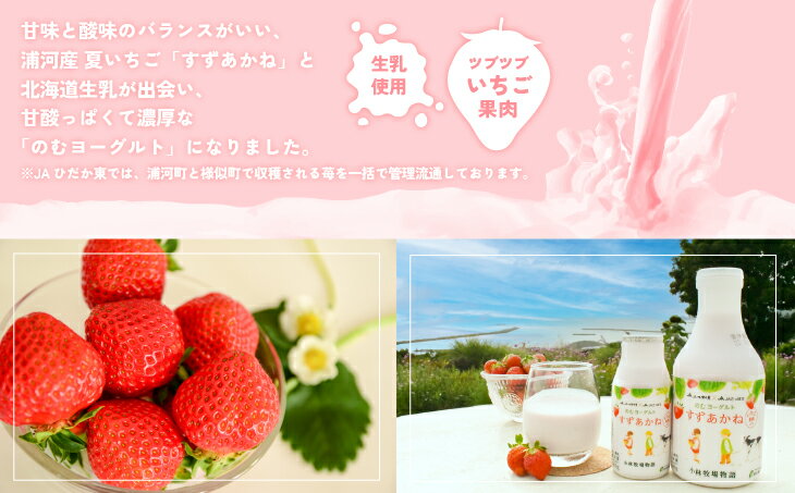 【ふるさと納税】のむヨーグルト「すずあかね」180g×6本入[28-1321] 北海道 浦河 ふるさと納税 飲むヨーグルト いちご すずあかね 送料無料
