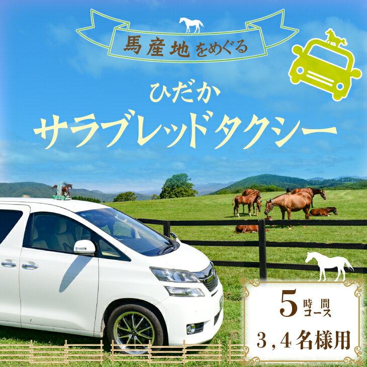 【ふるさと納税】馬産地をめぐる「ひだかサラブレッドタクシー」5時間(3,4名様)コース[41-1105] 北海道..