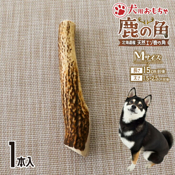 2位! 口コミ数「0件」評価「0」犬用「鹿の角」Mサイズ×1本[53-1348] 北海道 浦河 ふるさと納税 鹿の角 鹿 犬用 ワンちゃん おもちゃ 玩具 デンタルケア 送料･･･ 