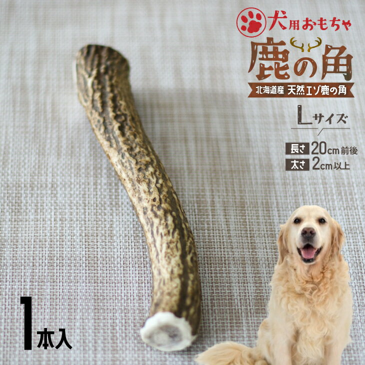 20位! 口コミ数「0件」評価「0」犬用「鹿の角」Lサイズ×1本[53-1349] 北海道 浦河 ふるさと納税 鹿の角 鹿 犬用 ワンちゃん おもちゃ 玩具 デンタルケア 送料･･･ 