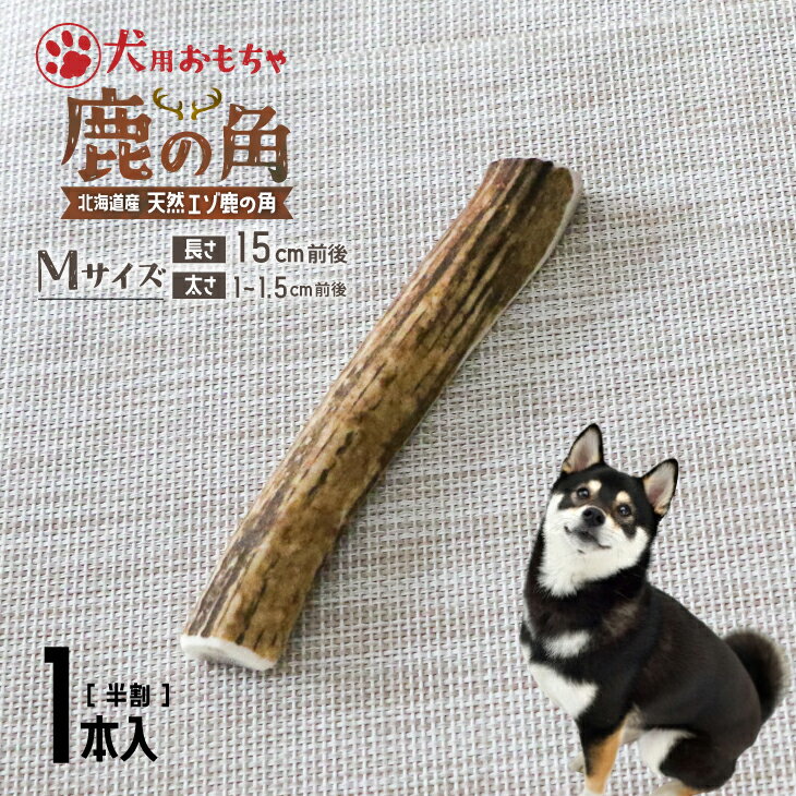 5位! 口コミ数「0件」評価「0」犬用「鹿の角(半割り)」Mサイズ×1本[53-1351] 北海道 浦河 ふるさと納税 鹿の角 鹿 犬用 ワンちゃん おもちゃ 玩具 デンタル･･･ 