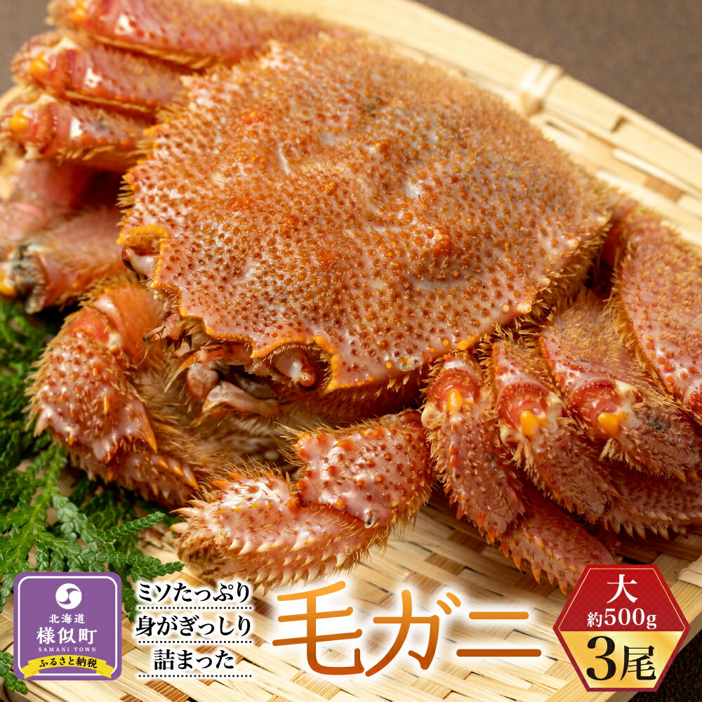 【ふるさと納税】ミソたっぷり身がぎっしり詰まった毛ガニ(大)約500g×3尾 | 蟹 かに カニ 毛ガニ 毛蟹 海鮮 海産物 海の幸 北海道 様似町 お土産 お取り寄せ 北海道産 生 特産品 ギフト 冷凍 お取り寄せグルメ 北海道様似町 おすすめ