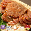 【ふるさと納税】ミソたっぷり身がぎっしり詰まった毛ガニ(大)約500g×7尾 | 蟹 かに カニ 毛ガニ 毛蟹 海鮮 海産物 …