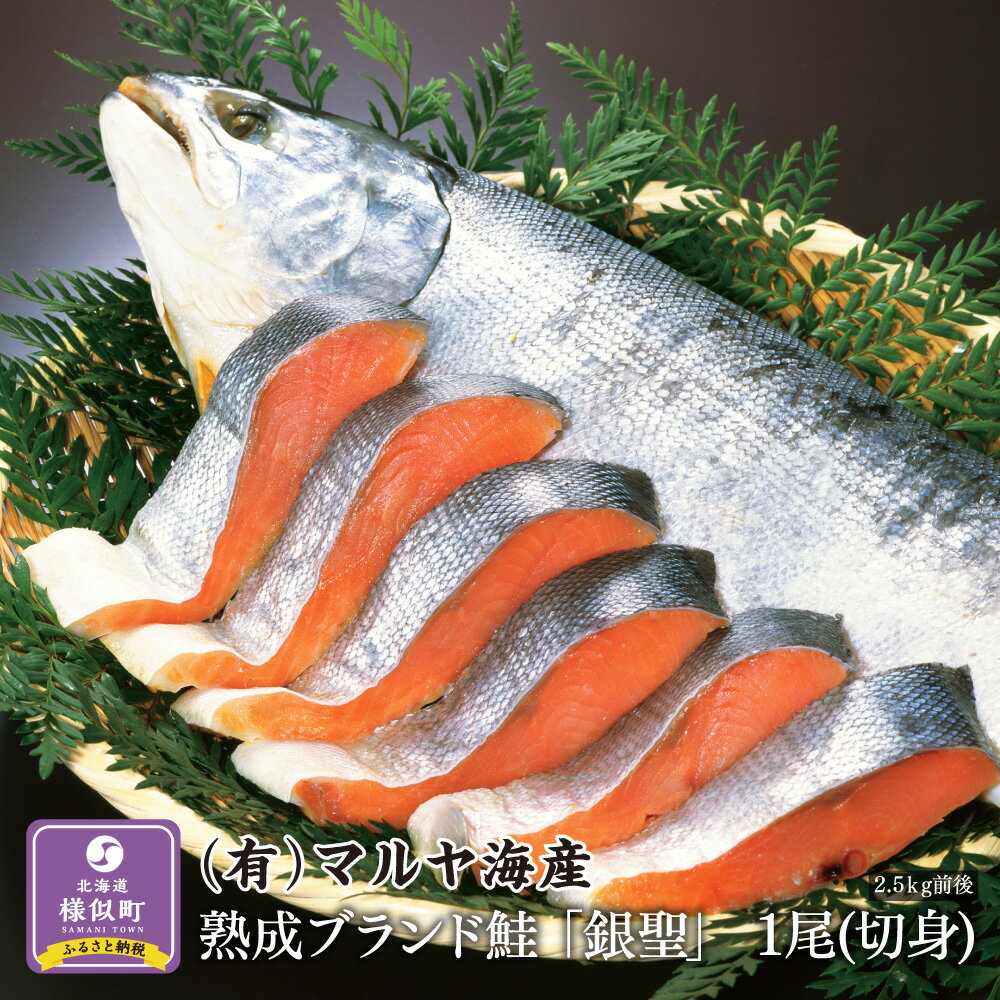 【ふるさと納税】【熟成】 ブランド鮭 「銀聖」 1尾（切身） | 鮭 さけ サケ しゃけ シャケ 魚 海鮮 海産物 海の幸 北海道 様似町 お土産 お取り寄せ 銀鮭 北海道産 切り身 特産品 ギフト 冷凍 山漬け 漬魚 漬け魚 お取り寄せグルメ 塩サケ 塩鮭 北海道様似町 おすすめ