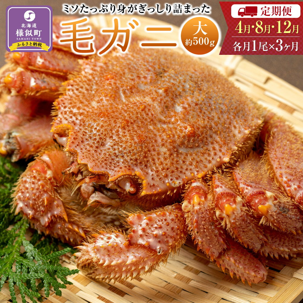 【ふるさと納税】〈定期便4・8・12月〉【ミソたっぷり身がぎっしり詰まった】＜毛ガニ(大)＞約500g×3尾【2024年4月～順次発送】 | 蟹 かに カニ 毛ガニ 毛蟹 海鮮 海産物 海の幸 北海道 様似町 お土産 お取り寄せ 北海道産 生 特産品 ギフト お取り寄せグルメ 北海道様似町のサムネイル