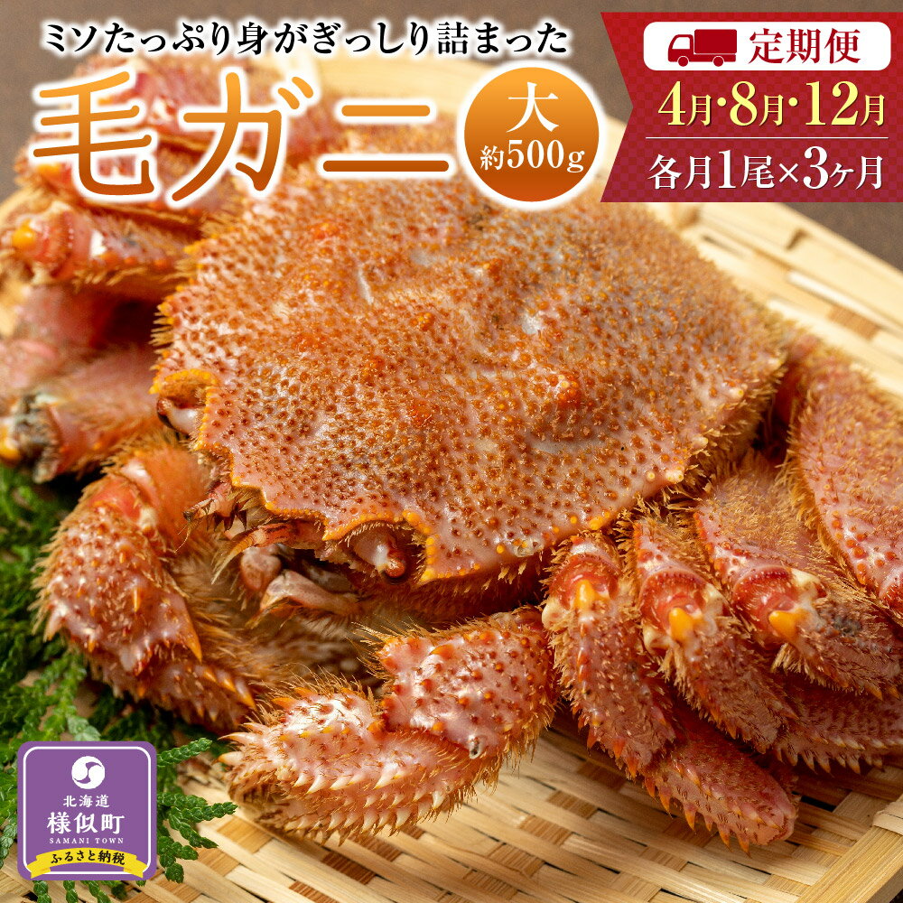 【ふるさと納税】〈定期便4・8・12月〉【ミソたっぷり身がぎっしり詰まった】＜毛ガニ(大)＞約500g×3尾【2024年4月～順次発送】 | 蟹 かに カニ 毛ガニ 毛蟹 海鮮 海産物 海の幸 北海道 様似町 お土産 お取り寄せ 北海道産 生 特産品 ギフト お取り寄せグルメ 北海道様似町