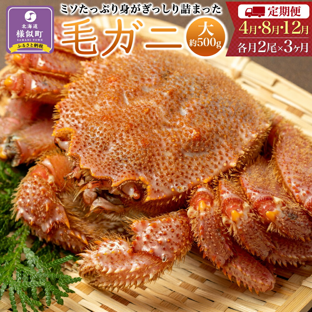 【ふるさと納税】〈定期便4・8・12月〉【ミソたっぷり身がぎっしり詰まった】＜毛ガニ(大)＞約500g×6尾【2024年4月～順次発送】 | 蟹 かに カニ 毛ガニ 毛蟹 海鮮 海産物 海の幸 北海道 様似町 お土産 お取り寄せ 北海道産 生 特産品 ギフト お取り寄せグルメ 北海道様似町のサムネイル