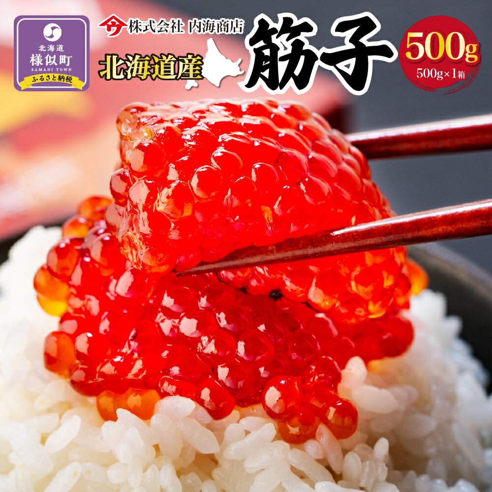 【ふるさと納税】【先行予約】筋子　500g×1箱　鮭卵 | 熟成 塩漬 すじこ 鮭卵 魚卵 新鮮 魚 ...