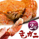 ＜毛がに(大)＞約500g×2尾 | 蟹 かに 毛蟹 毛ガニ ボイル 魚介 海の幸 海産物 贈り物 贈答 ギフト 国産 北海道 様似町 冷凍 送料無料