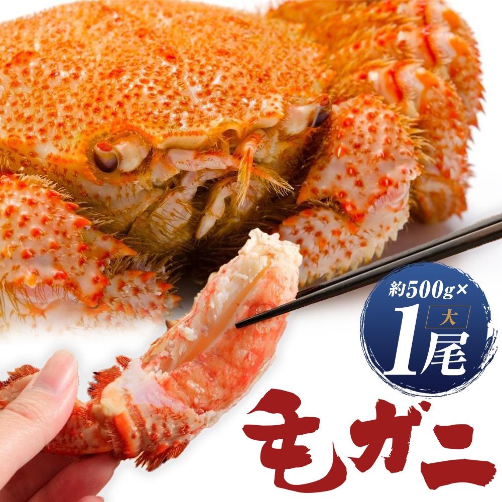 【ふるさと納税】ミソたっぷり身がぎっしり詰まった毛ガニ(大)約500g×1尾 | 蟹 かに 毛蟹 毛ガニ ボイ...