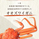 北海道様似町の画像3