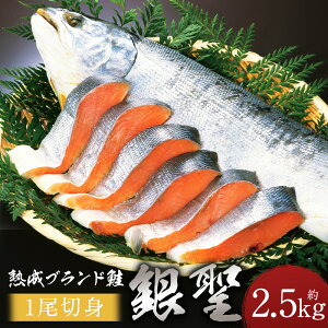 【ふるさと納税】【熟成】 ブランド鮭 「銀聖」 1尾(切身) | 山漬け 熟成 切り身 銀毛鮭 鮭 さけ シャケ 魚 新鮮 魚介 海の幸 海産物 おかず 朝ごはん 弁当 国産 北海道 様似町 冷凍 送料無料