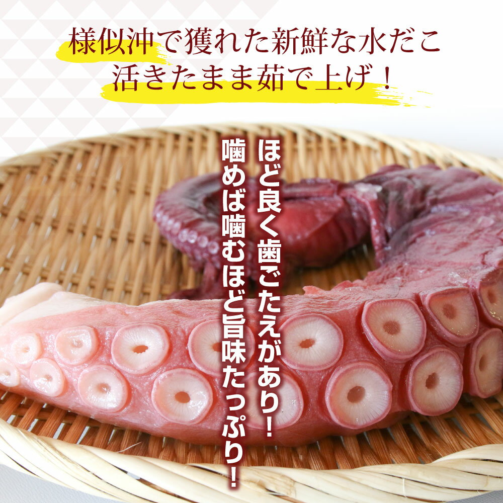 【ふるさと納税】【やわらか】煮たこ（約1.8kg） | 北海道 様似町 お土産 お取り寄せ たこ タコ 海鮮 海産物 海の幸 蛸 北海道産 特産品 水タコ 水だこ お取り寄せグルメ ギフト 贈り物 贈答品 食品 食べ物 北海道様似町 おすすめ