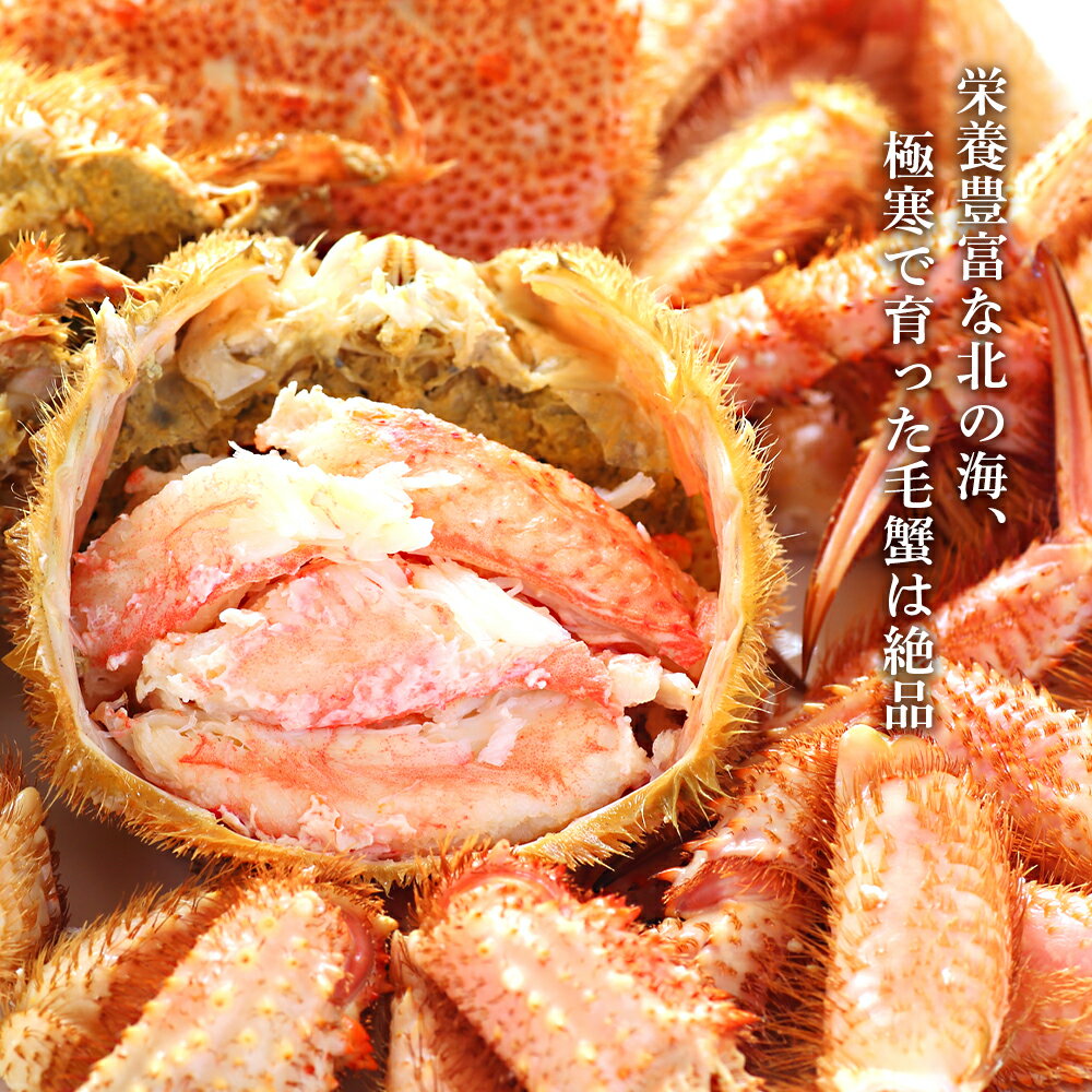 【ふるさと納税】【ミソたっぷり身がぎっしり詰まった】毛ガニ(特大)約800g×3尾 | 蟹 かに カニ 毛ガニ 毛蟹 海鮮 海産物 海の幸 北海道 様似町 お土産 お取り寄せ 北海道産 生 特産品 ギフト 冷凍 お取り寄せグルメ 北海道様似町 おすすめ