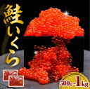 【ふるさと納税】 鮭いくら 醤油漬け 小分け 【 内容量が選べる 】( 250g × 2箱 / 4箱 ) | 500g 1kg いくら 大容量 ikura だし...
