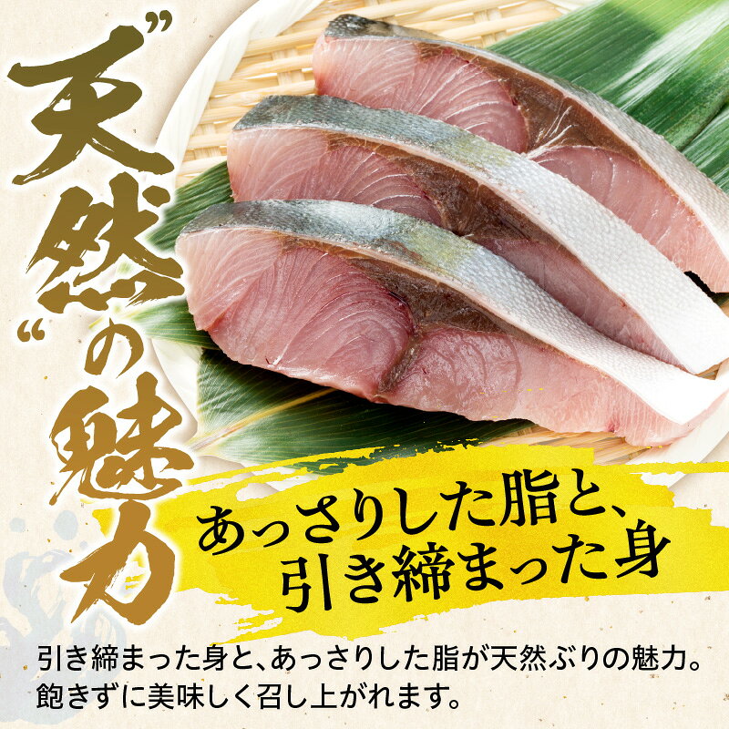 北海道えりも町の【ふるさと納税】マルデン特製 北海道産 天然 ぶり 切身 10切 | 魚 切り身 冷凍 魚介 ブリ 鰤 国産 小分け 個包装 真空パック 焼き魚 塩焼き 照り焼き 煮付け ぶり大根 ムニエル 時短 便利 調理 簡単 保存食 一人暮らし 料理 家庭用 お取り寄せ グルメ 日高 北海道 えりも町｜アングル3
