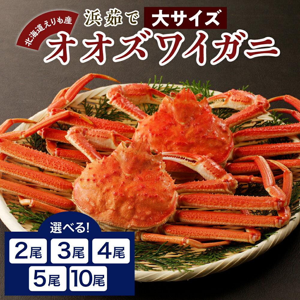 【ふるさと納税】 浜茹で オオズワイガニ ( 内容量が選べる 2尾 800g / 3尾 1.2kg / 4尾 1.6kg / 5尾 2kg / 10尾 4kg ) 大ズワイ 大ズワイガニ ズワイガニ ズワイ かに カニ 蟹 魚介 海鮮 海産物 人気 送料無料 国産 道産 北海道産 北海道 えりも産 襟裳