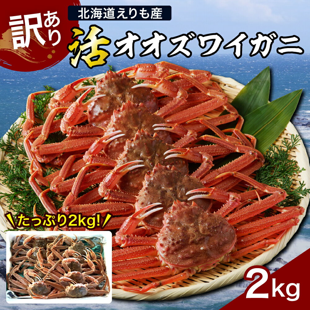 【ふるさと納税】訳あり 活 オオズワイガニ 姿 2kg 冷蔵