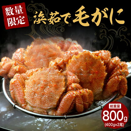 【数量限定】北海道産『浜茹で 毛がに』計800g ( 400g × 2尾 )ボイル 毛ガニ けがに かに カニ 蟹 カニ味噌 蟹味噌 かに味噌 濃厚 魚介 海鮮 海産物 人気 冷凍配送 送料無料 国産 道産 お取り寄せグルメ 襟裳 北海道 えりも町