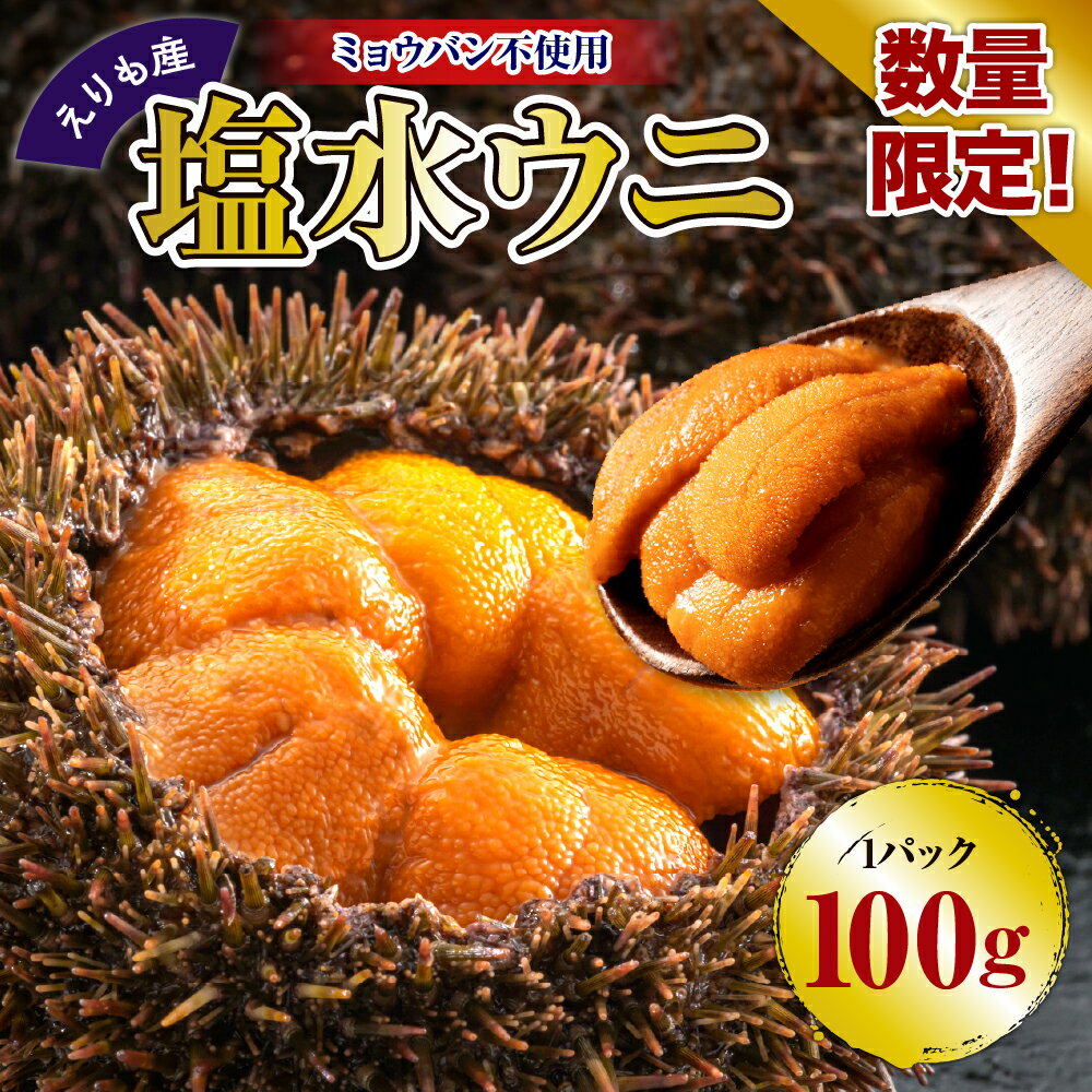 【ふるさと納税】塩水 うに【えりも産】 ウニ 雲丹 エゾバフンウニ 100g 数量限定 バフンウニ  ...