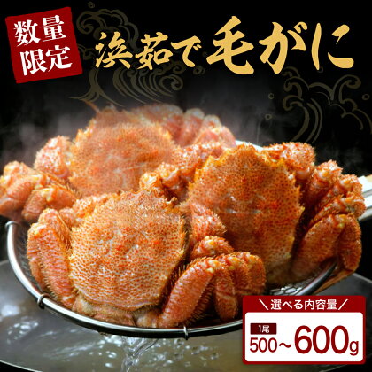 【数量限定】北海道産『浜茹で毛がに』1尾入 内容量が選べる 500g / 600gボイル 毛ガニ けがに かに カニ 蟹 カニ味噌 蟹味噌 かに味噌 濃厚 魚介 海鮮 海産物 人気 冷凍配送 送料無料 国産 道産 襟裳 北海道 えりも町