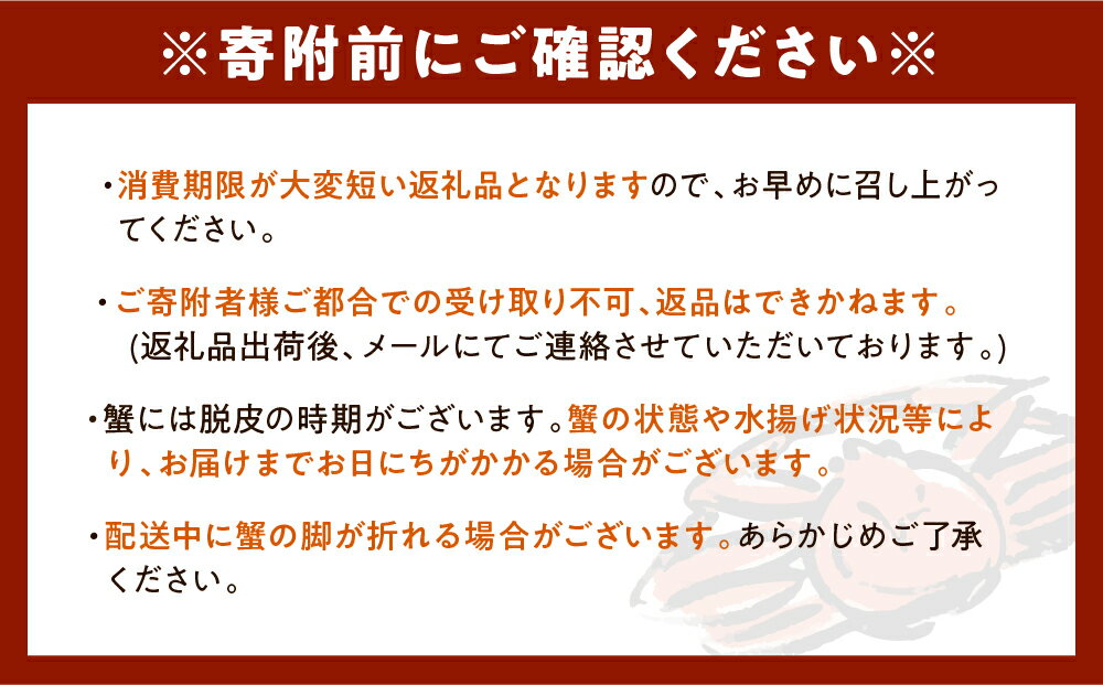 【ふるさと納税】 活 オオズワイガニ 1尾あたり 400g以上 ( 内容量が選べる / 2尾 3尾 4尾 5尾 10尾 ) 大ズワイ 大ズワイガニ ズワイガニ ズワイ かに 蟹 魚介 海鮮 新鮮 生 海産物 人気 送料無料 国産 道産 北海道産 北海道 えりも産 襟裳