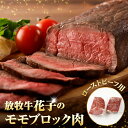 【ふるさと納税】牛肉 牛 モモ ブロック 1kg ( 500g × 2パック ) 北海道 えりも町 ブランド 牛 放牧牛 花子 牛モモ 内モモ もも肉 ローストビーフ 牛たたき 人気 送料無料 2